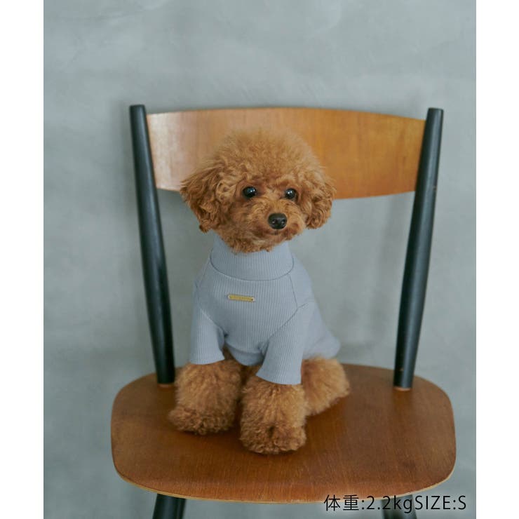 【DOG】カラーリブタートル | ROPE' PICNIC | 詳細画像14 