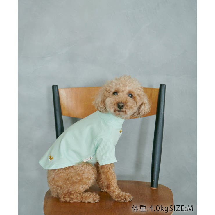 【DOG】カラーリブタートル | ROPE' PICNIC | 詳細画像15 