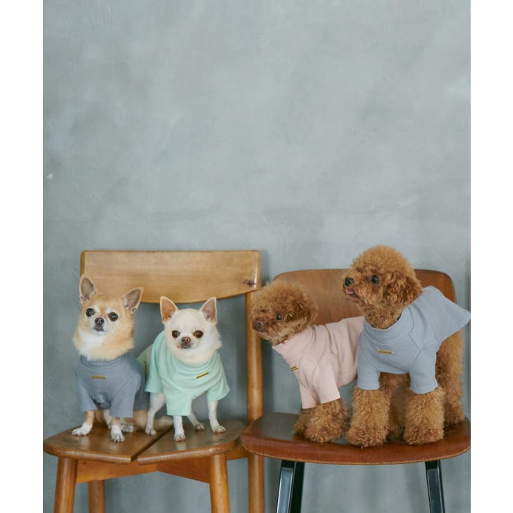 【DOG】カラーリブタートル | ROPE' PICNIC | 詳細画像17 