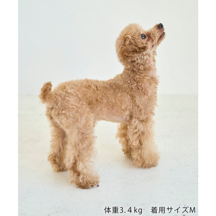 【DOG】ツイードドッキングジャンパースカート | ROPE' PICNIC | 詳細画像16 