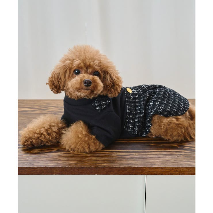 【DOG】ツイードドッキングジャンパースカート | ROPE' PICNIC | 詳細画像2 