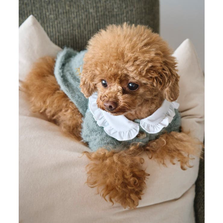 【DOG】ビックカラーカーディガン | ROPE' PICNIC | 詳細画像4 