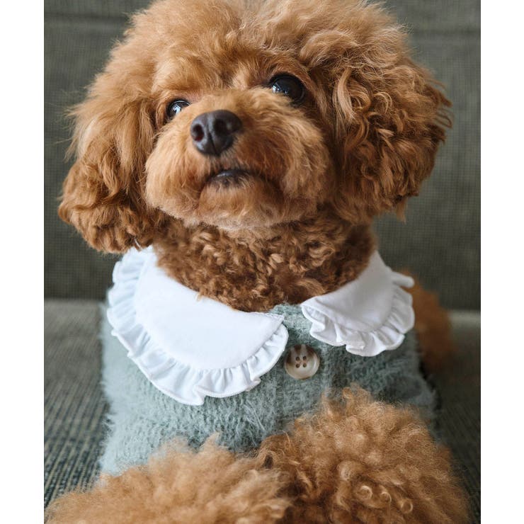 【DOG】ビックカラーカーディガン | ROPE' PICNIC | 詳細画像7 