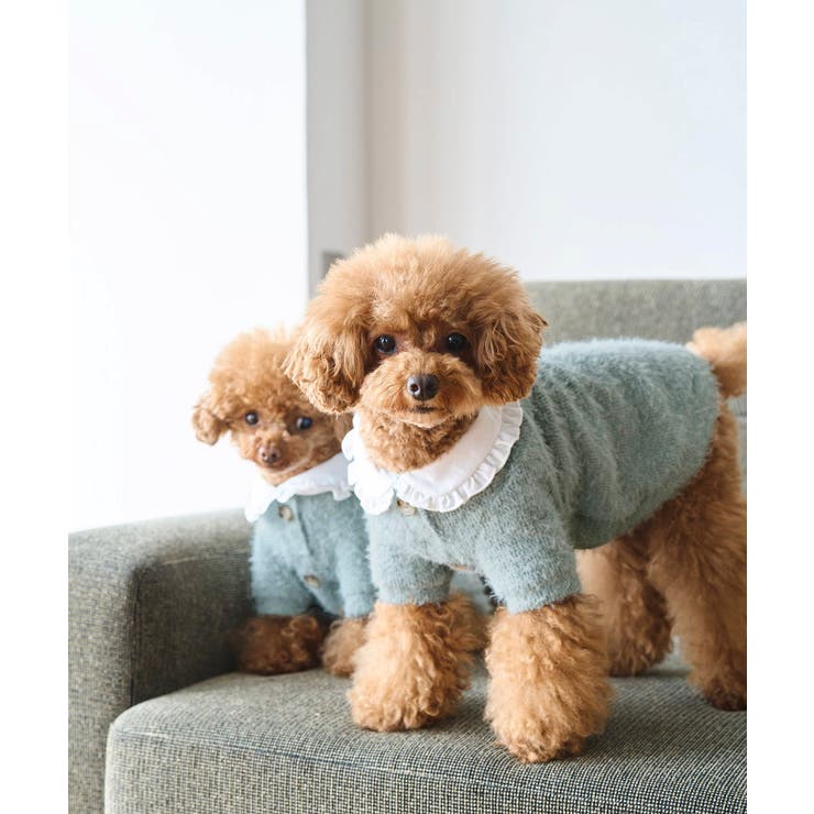 【DOG】ビックカラーカーディガン | ROPE' PICNIC | 詳細画像8 