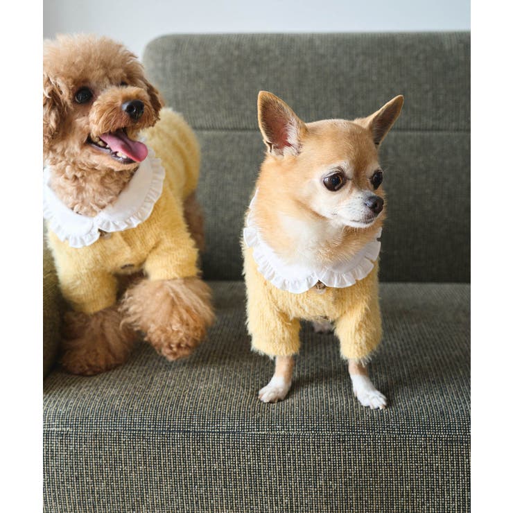 クリーム(83) | 【DOG】ビックカラーカーディガン | ROPE' PICNIC