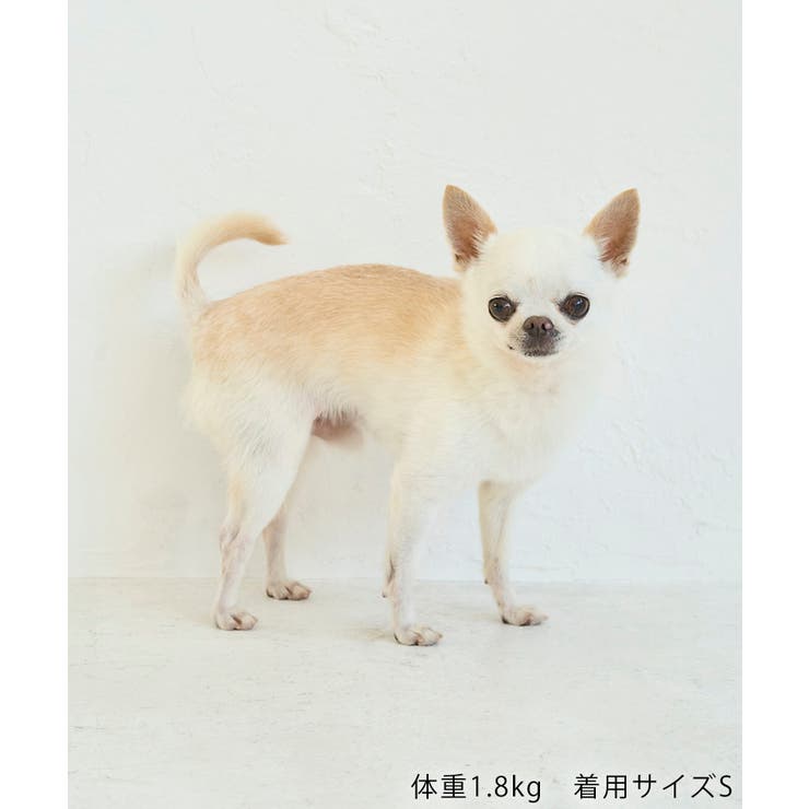 【DOG】カラーフリースベスト | ROPE' PICNIC | 詳細画像12 