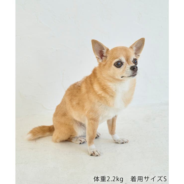 【DOG】カラーフリースベスト | ROPE' PICNIC | 詳細画像13 