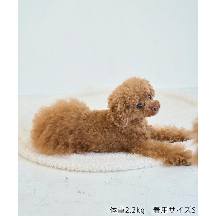 【DOG】カラーフリースベスト | ROPE' PICNIC | 詳細画像14 