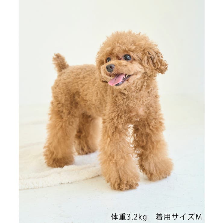 【DOG】カラーフリースベスト | ROPE' PICNIC | 詳細画像15 