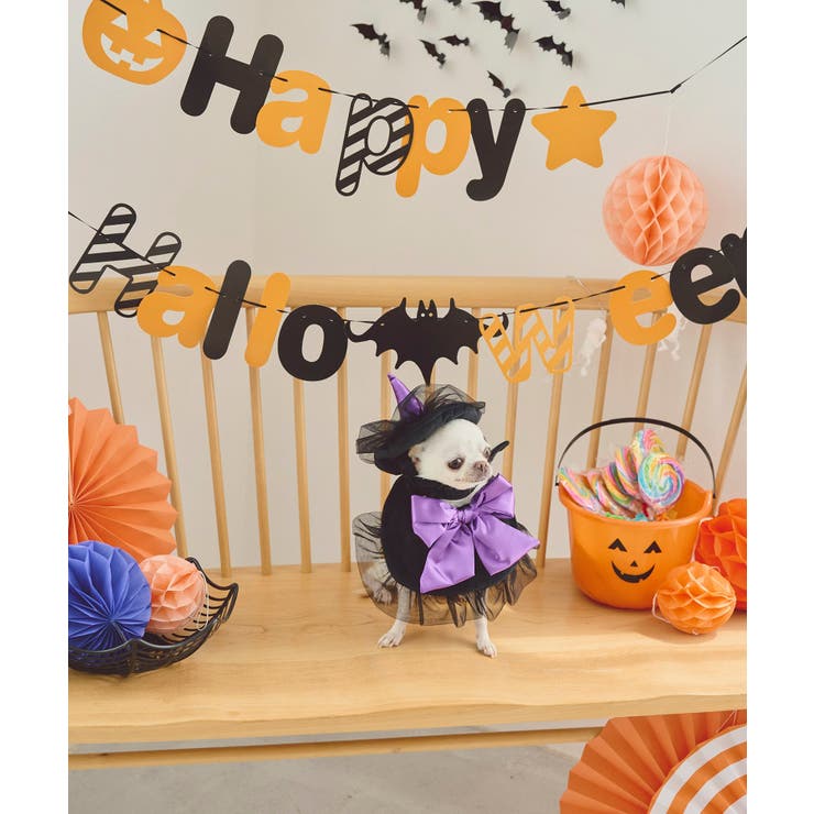 【DOG】ハロウィン魔女セット | ROPE' PICNIC | 詳細画像2 