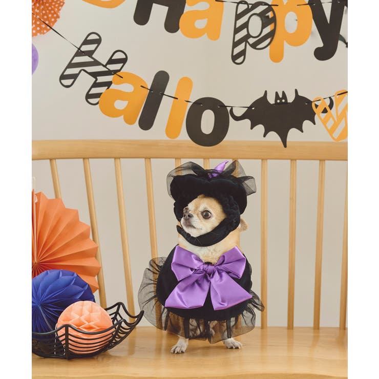 【DOG】ハロウィン魔女セット | ROPE' PICNIC | 詳細画像3 