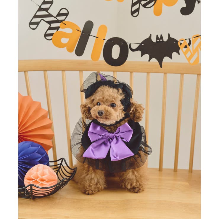 【DOG】ハロウィン魔女セット | ROPE' PICNIC | 詳細画像4 