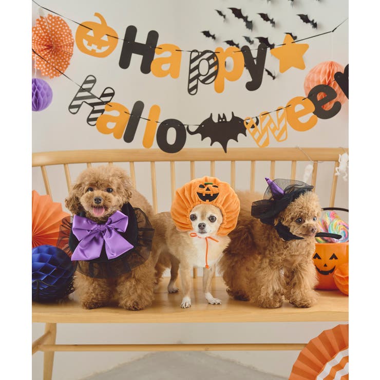 【DOG】ハロウィン魔女セット | ROPE' PICNIC | 詳細画像5 