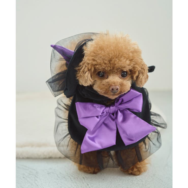 【DOG】ハロウィン魔女セット | ROPE' PICNIC | 詳細画像7 