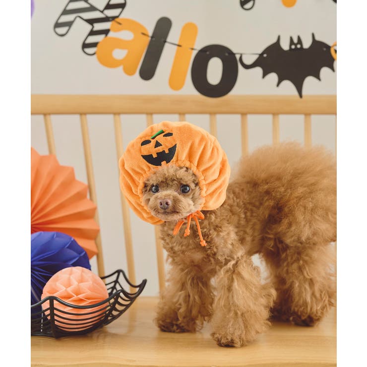 【DOG】ハロウィンかぼちゃ | ROPE' PICNIC | 詳細画像2 