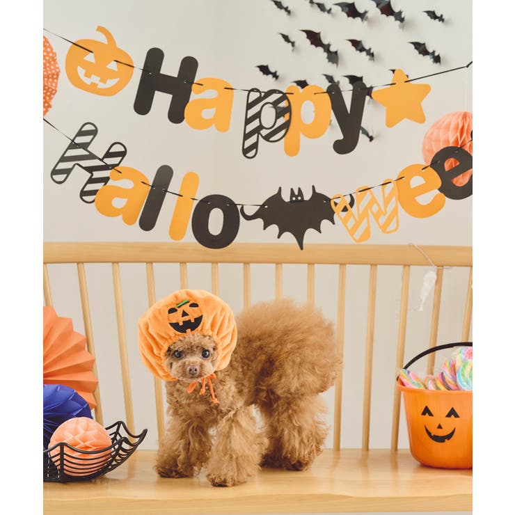 【DOG】ハロウィンかぼちゃ | ROPE' PICNIC | 詳細画像3 