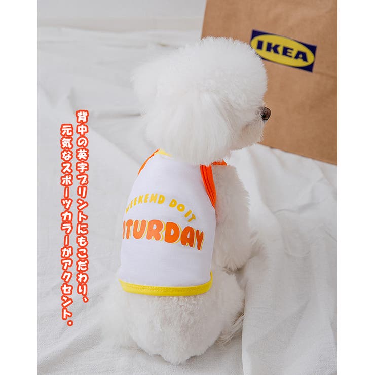 ペット服 タンクトップ ロゴプリント ペット | karei | 詳細画像4 