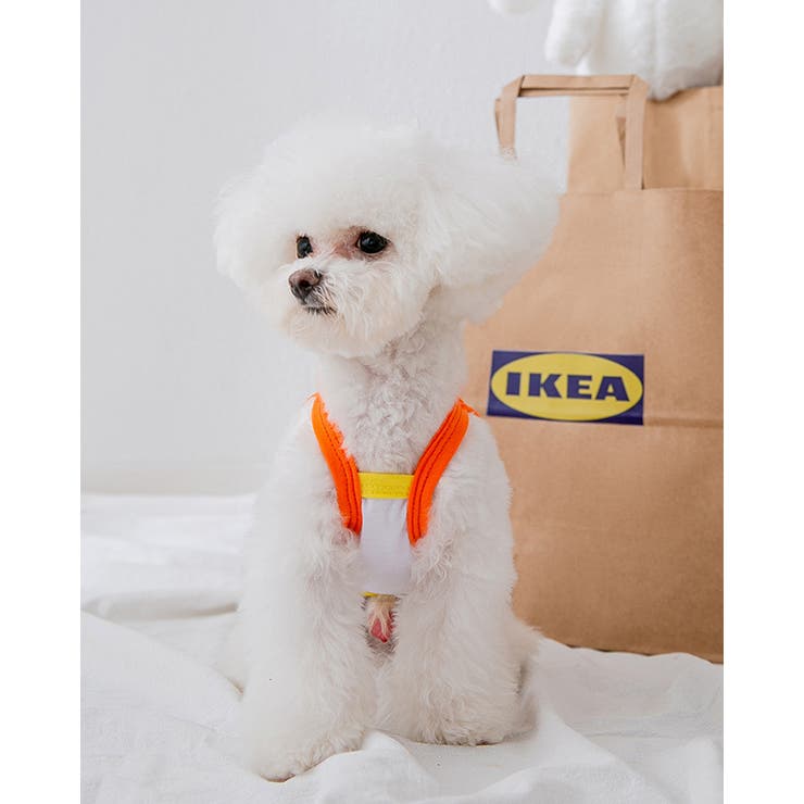 ペット服 タンクトップ ロゴプリント ペット | karei | 詳細画像5 