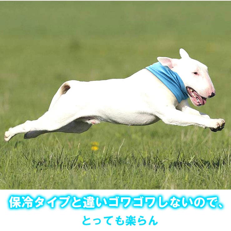 ネッククーラー ペットグッズ クールバンダナ | karei | 詳細画像7 