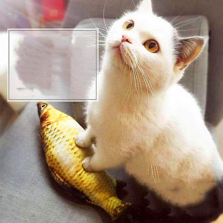 キャットおもちゃ 魚クッション 猫 おもちゃ ネコ ワンちゃん 小物 玩具 | karei | 詳細画像8 