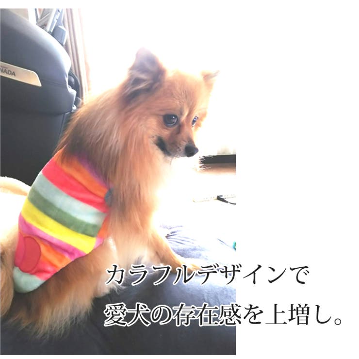 犬 服 犬服 犬の服 タンクトップ カラフル ドッグウェア 洋服 | K-city | 詳細画像5 