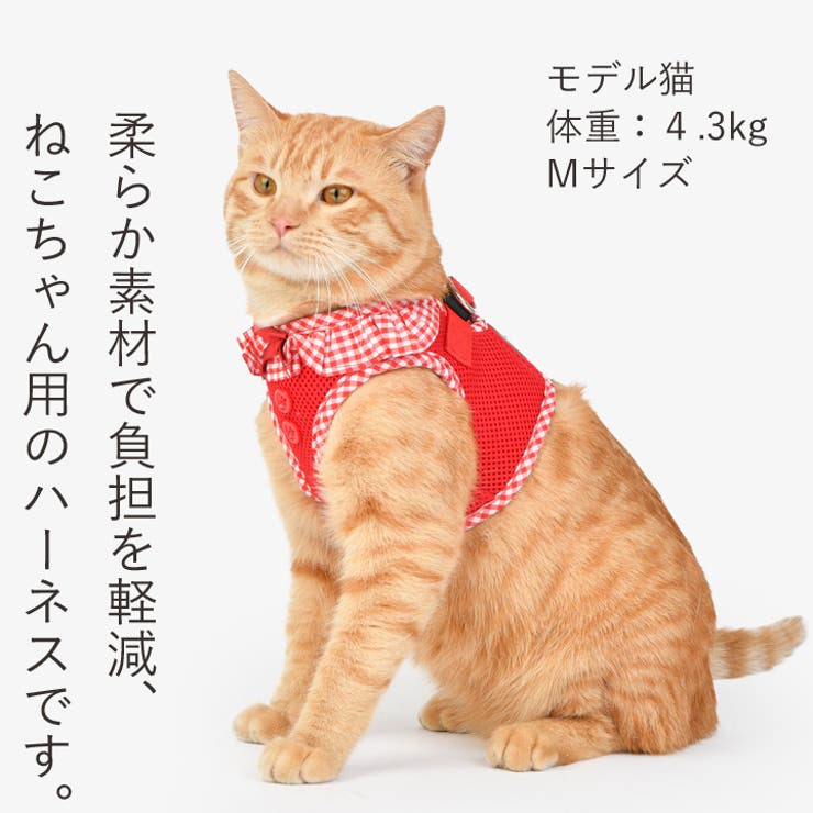 ねこページ ねこに転生したおじさん×WEGOコラボアクキー1 – WEGO ONLINE STORE