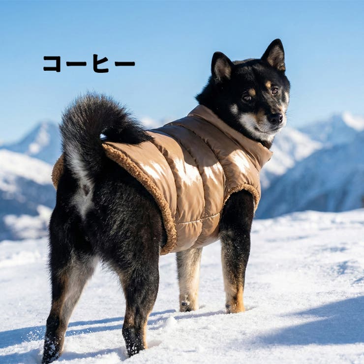 犬 服 犬服 | K-city | 詳細画像2 