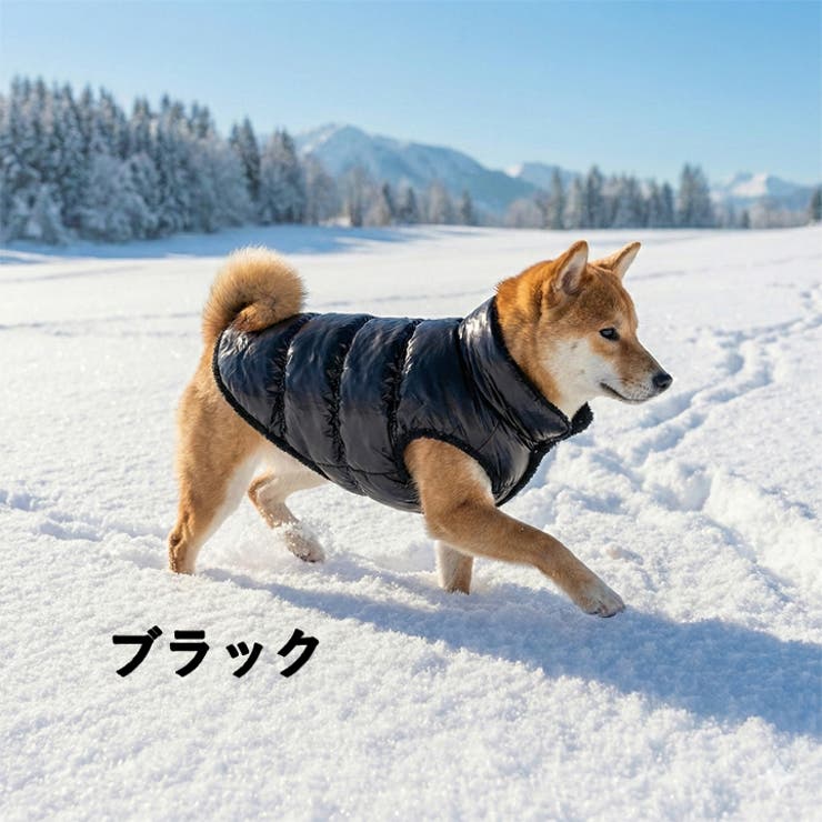 犬 服 犬服 | K-city | 詳細画像8 