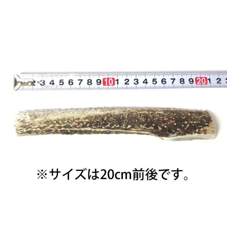 鹿の角 半割 北海道 | K-city | 詳細画像3 