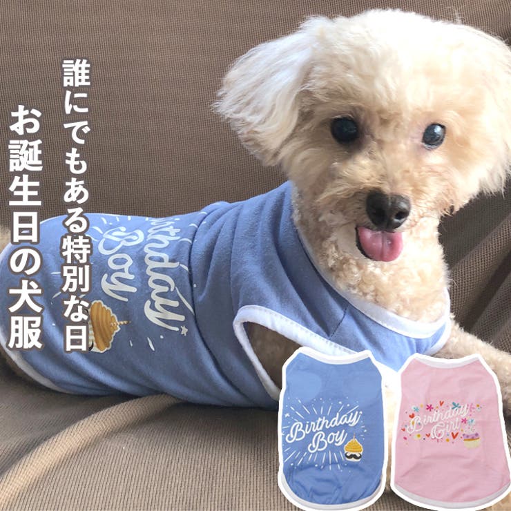 犬 服 犬服 犬の服 タンクトップ お誕生日 男の子 女の子 ドッグウェア | K-city | 詳細画像1 
