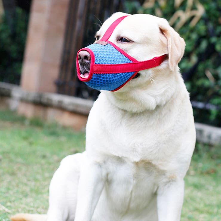 口輪 犬 噛みつき 品番 Nx K City ケイシティ のレディースファッション通販 Shoplist ショップリスト