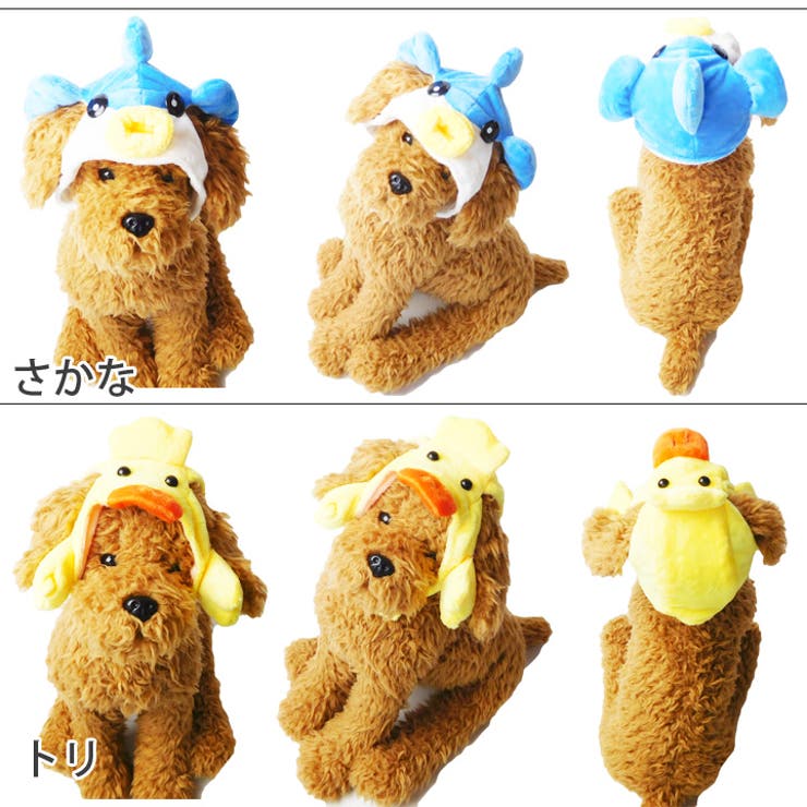 犬 服 犬服 | K-city | 詳細画像6 