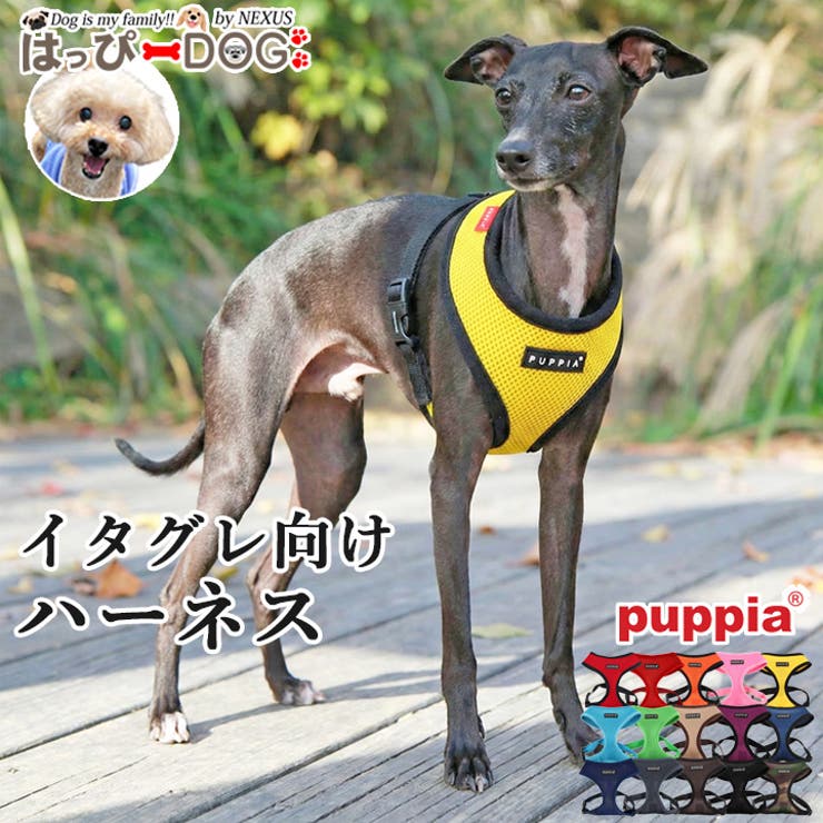 ハーネス 胴輪 イタグレ | K-city | 詳細画像1 