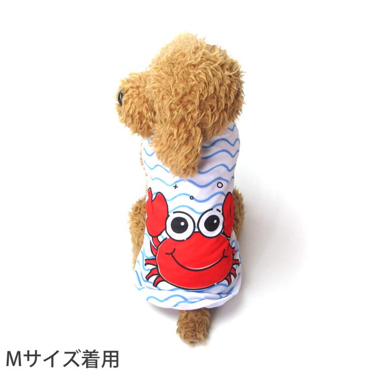 犬 服 トイプードル[品番：NX000006647]｜K-city（ケイシティ）の