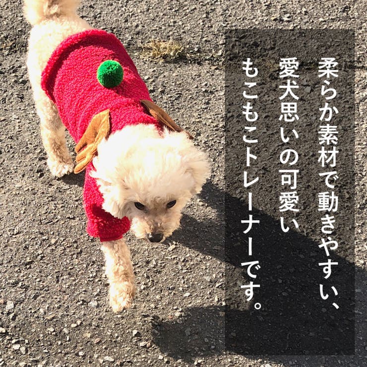 犬 服 犬服 | K-city | 詳細画像2 