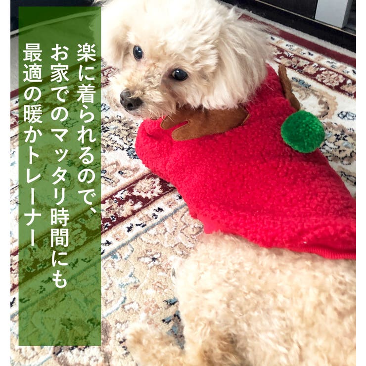犬 服 犬服 | K-city | 詳細画像5 