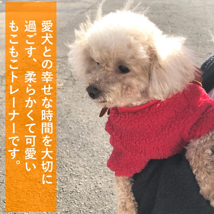 犬 服 犬服 | K-city | 詳細画像6 