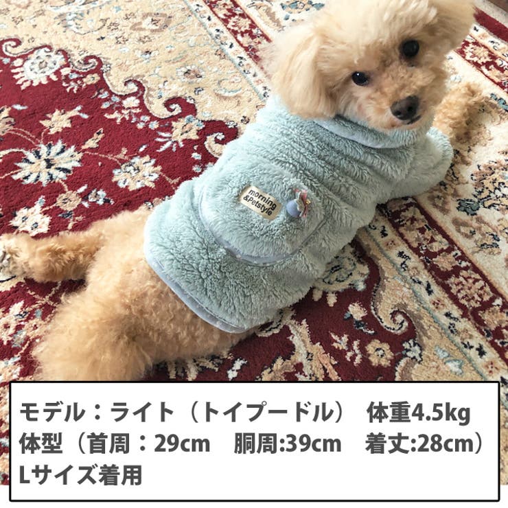 日本製 メッシュ犬服 キンキンかき氷 リブ ホワイト ｍサイズ Kemper即納可 その他 Rspg Spectrum Eu