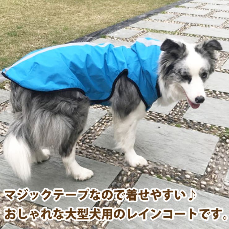 犬 服 犬服 | K-city | 詳細画像2 