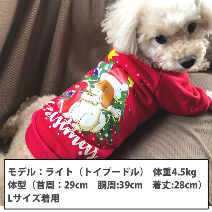 犬 服 犬服 | K-city | 詳細画像3 