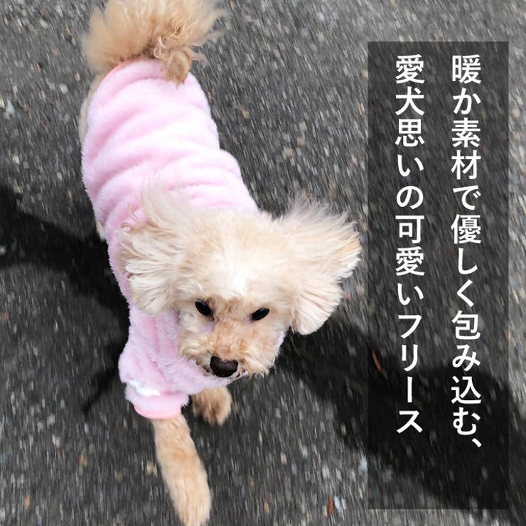 犬 服 犬服 | K-city | 詳細画像2 