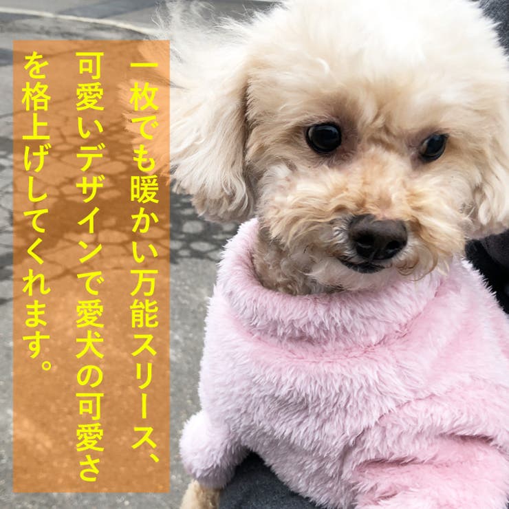 犬 服 犬服 | K-city | 詳細画像6 