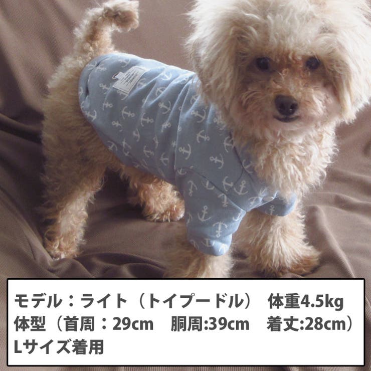 犬 服 犬服 犬の服 カットソー Tシャツ いかり柄 ドッグウェア | K-city | 詳細画像2 