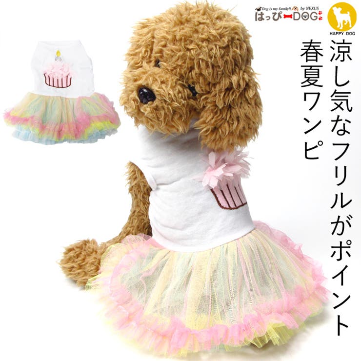 犬 服 犬服 | K-city | 詳細画像1 