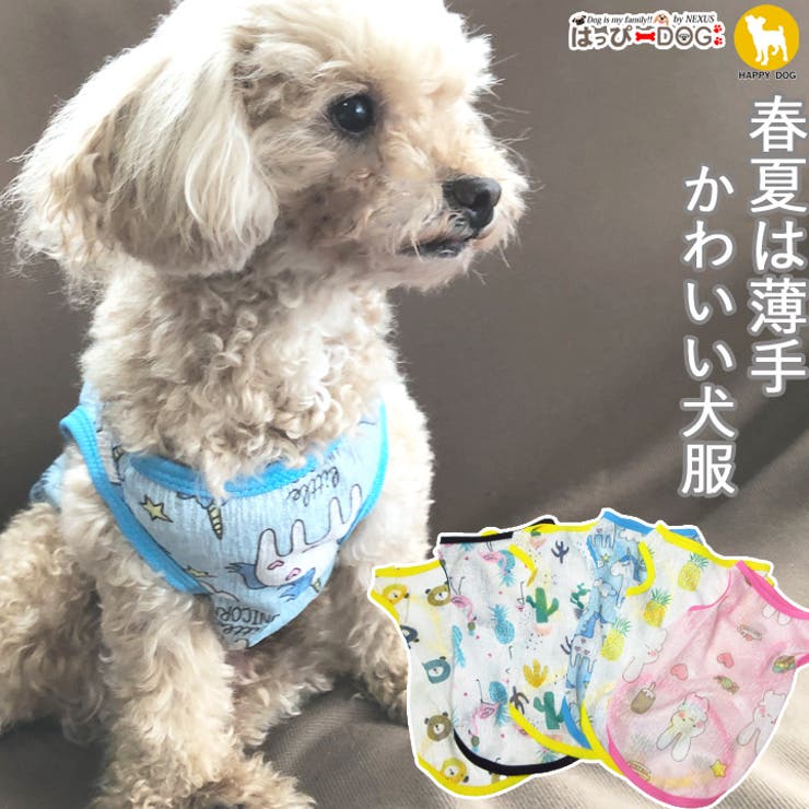 犬 服 犬服 | K-city | 詳細画像1 