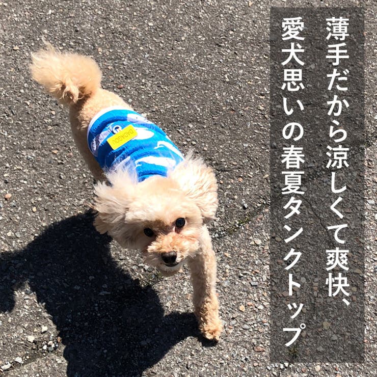 高い素材 犬服 SS わんこの普段着 くじら｜ペット用品 犬服
