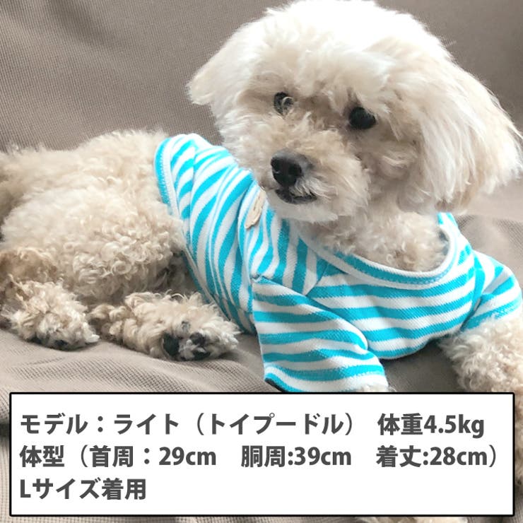 犬 服 犬服 | K-city | 詳細画像3 