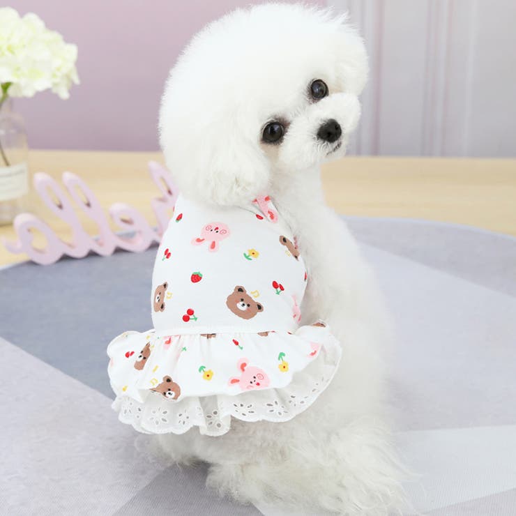 犬 服 犬服 | K-city | 詳細画像2 