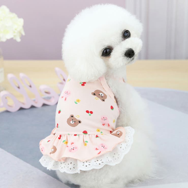 犬服♡ ❤︎BAMBINA❤︎ XSサイズ》ハートうさちゃんの重ね着風ワンピース 犬服 ドッグ
