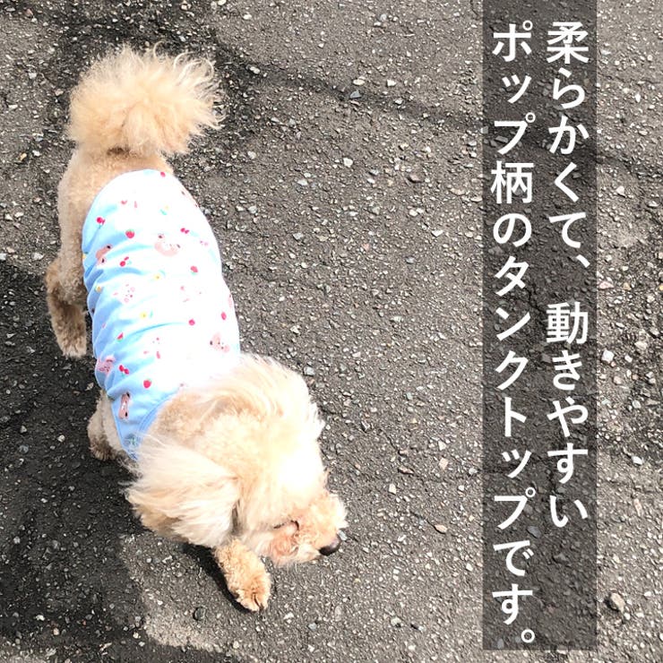 犬 服 犬服 | K-city | 詳細画像2 